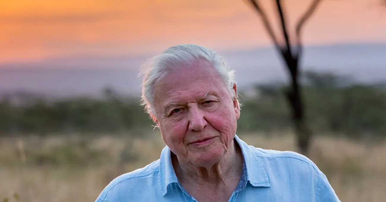 O David Attenborough
