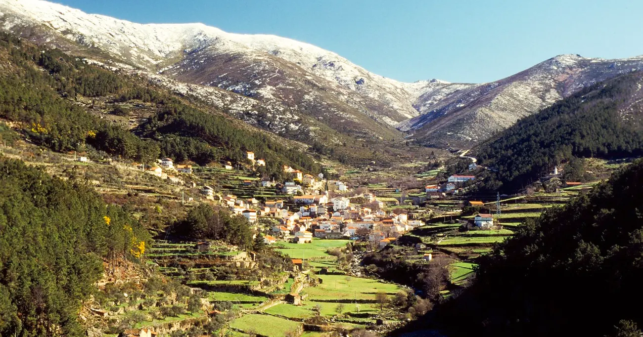 Alguém mentiu ao Expresso