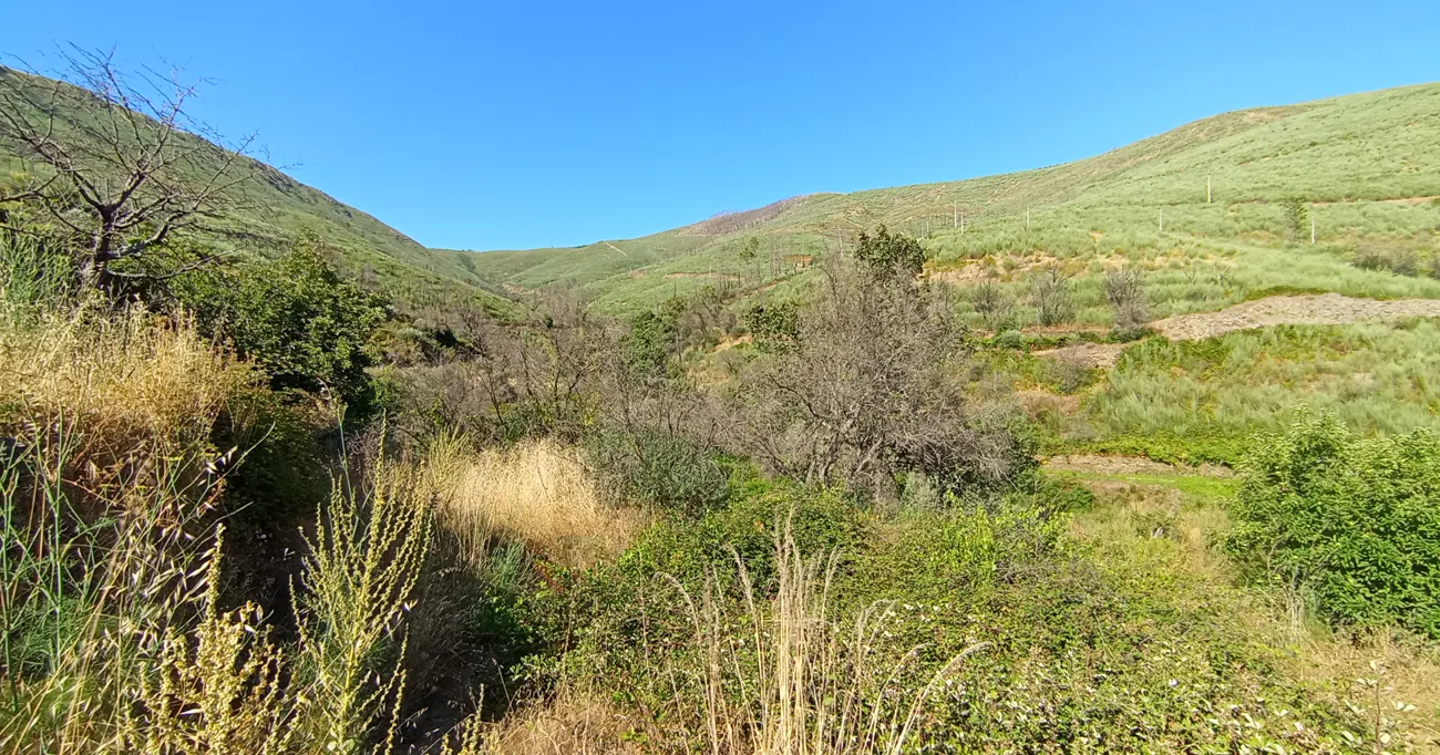Prenúncios de Intranquilidade