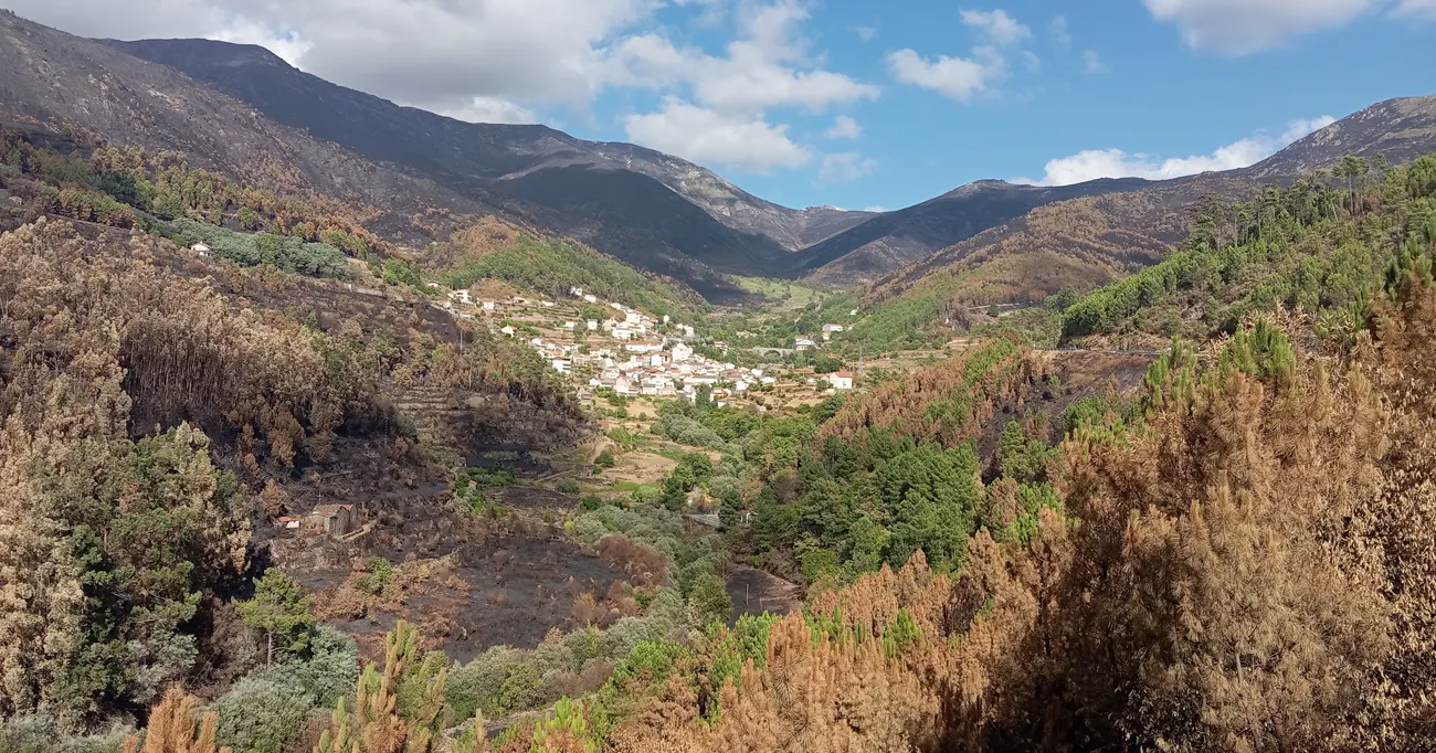 Se não se muda a estratégia as chamas vão continuar a ganhar