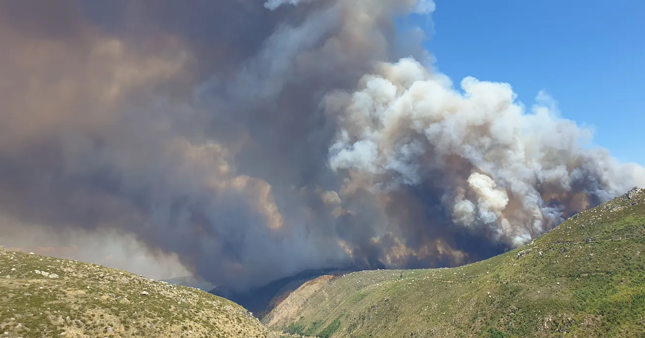 Quando erramos colectivamente, a sociedade paga o preço...