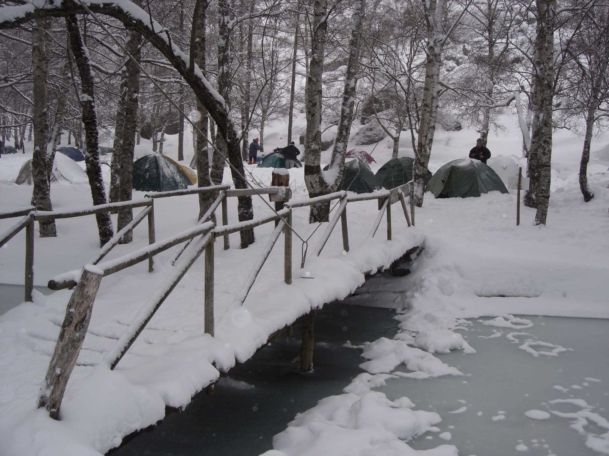 Covão d'Ametade volta à ribalta