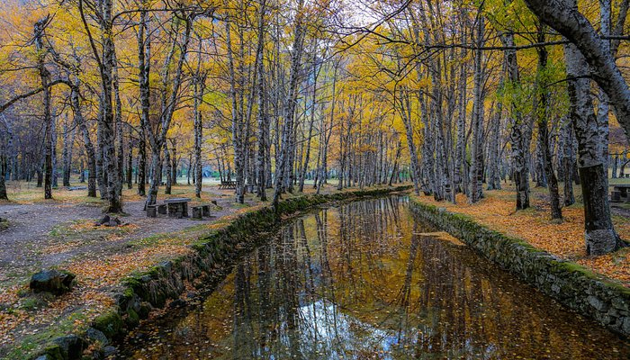 Viagem: Covão d'Ametade