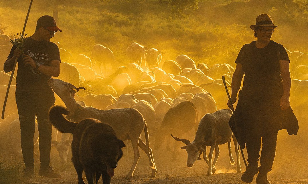 A Importância do Pastoreio nos Sistemas Comunitários